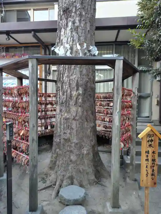 越谷香取神社(埼玉県)