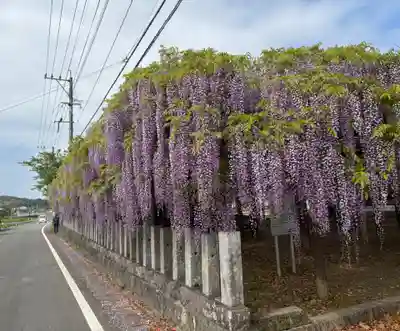 大神宮(福岡県)