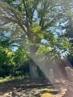 白幡神社(宮城県)
