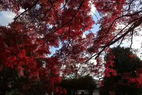 石座神社(京都府)