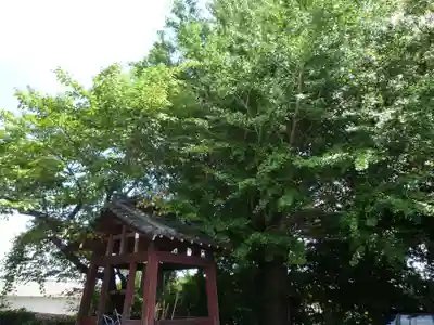 隣江寺のその他建物