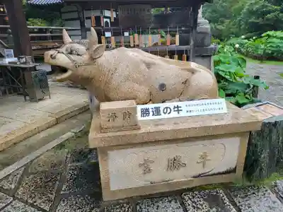 三室戸寺(京都府)