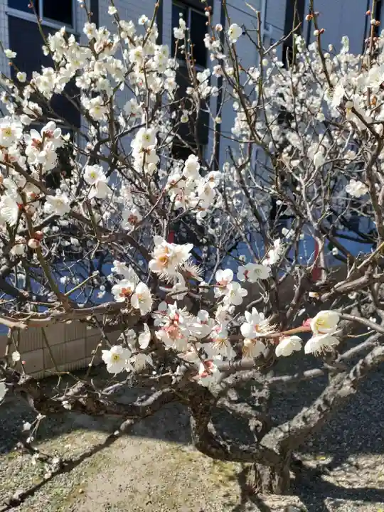 大宮神社(千葉県)