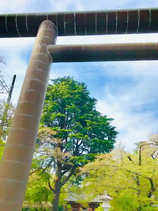 大宝八幡宮の鳥居