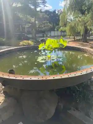 井波別院瑞泉寺(富山県)