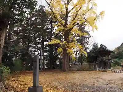 天王山 安楽寺(福井県)