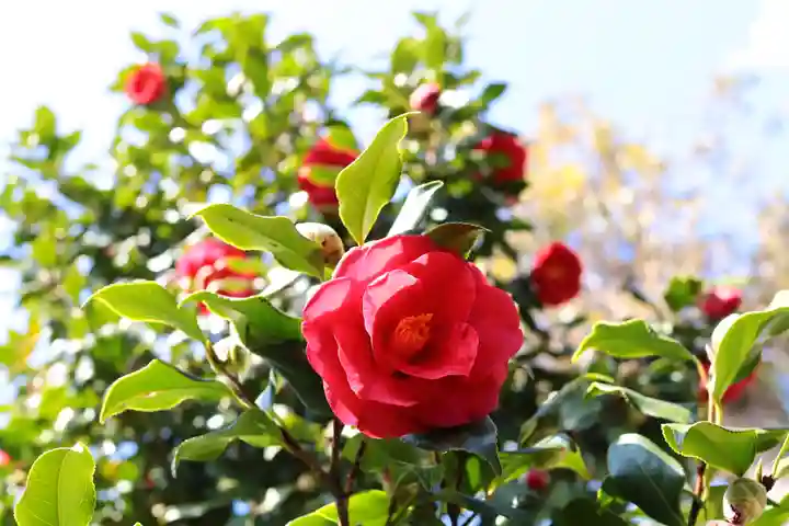 三津厳島神社(愛媛県)