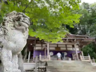 白川八幡神社(岐阜県)