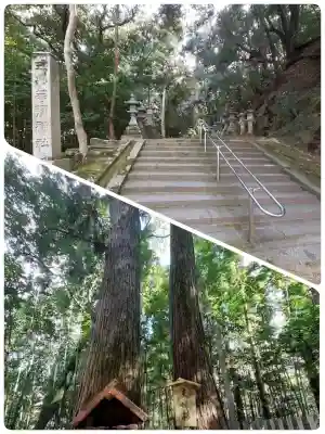 等彌神社の{uncategorized: "未分類", other: "その他", undefined: "問題あり", building: "その他建物", grave: "お墓", sacred_gate: "鳥居", guardian: "狛犬", statue: "像", buddha: "仏像", history: "歴史", nature: "自然", garden: "庭園", animal: "動物", pagoda: "塔", temizu: "手水舎", mountain_gate: "山門・神門", sanctuary: "本殿・本堂", subordinate: "末社・摂社", art: "芸術", scenery: "景色", jizo: "地蔵", ema: "絵馬", goshuin: "御朱印", omikuji: "おみくじ", items: "授与品その他", amulet: "お守り", goshuincho: "御朱印帳", eats: "食事", festival: "お祭り", votive_dance: "神楽", shichigosan: "七五三参", wedding: "結婚式", experience: "体験その他", initially: "初詣", around: "周辺", anti_infection: "感染症対策"}