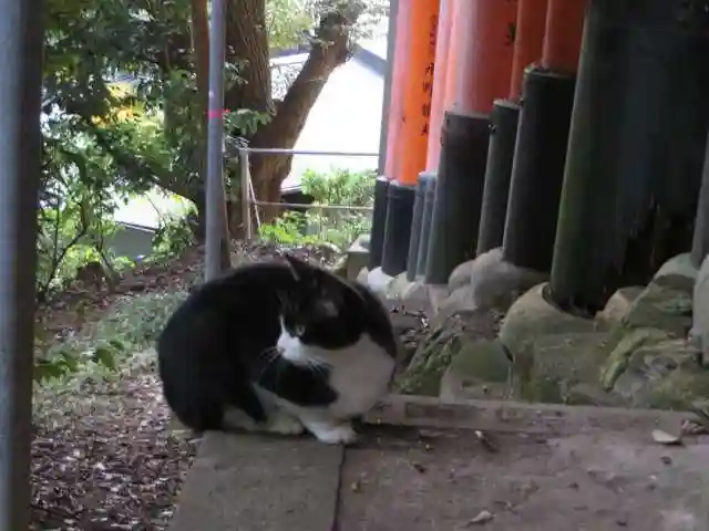 伏見稲荷大社(京都府)