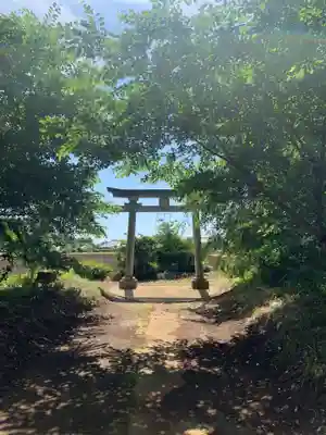 椿神社の鳥居