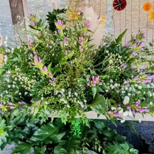 彌彦神社　(伊夜日子神社)(北海道)