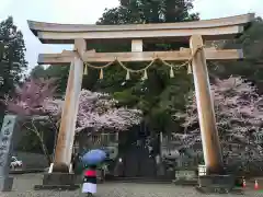 戸隠神社中社の鳥居