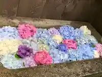 菅生神社の手水舎