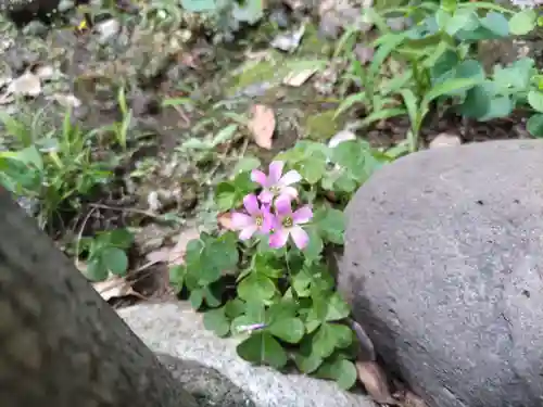 前原御嶽神社の自然