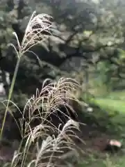 木舟山　順教寺の自然