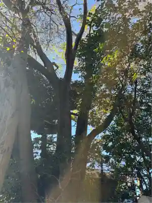 稲荷神社(東京都)