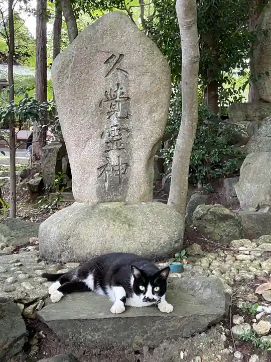 玉野御嶽神社の動物