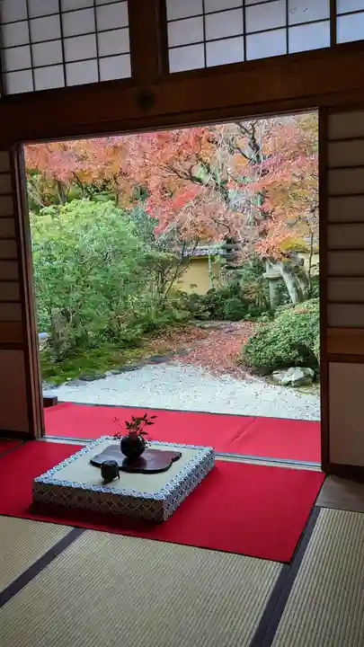 光明寺(粟生光明寺)(京都府)