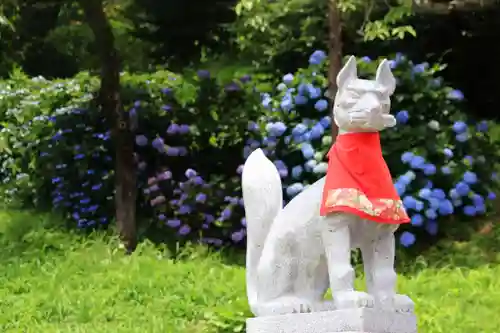 高屋敷稲荷神社の狛犬