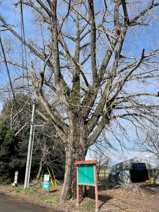 古泉馬頭観世音(栃木県)