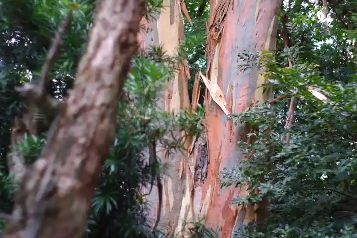 元城町東照宮の自然