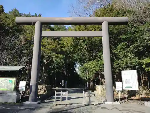 北海道神宮の鳥居