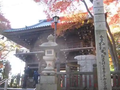高尾山薬王院の山門・神門