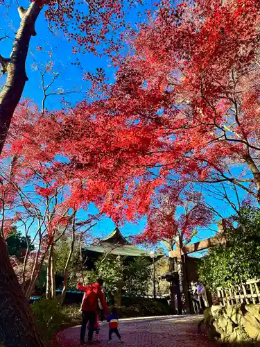 深大寺(東京都)