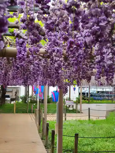 曼陀羅寺の庭園
