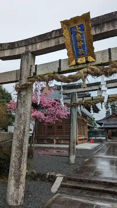 大歳神社(京都府)