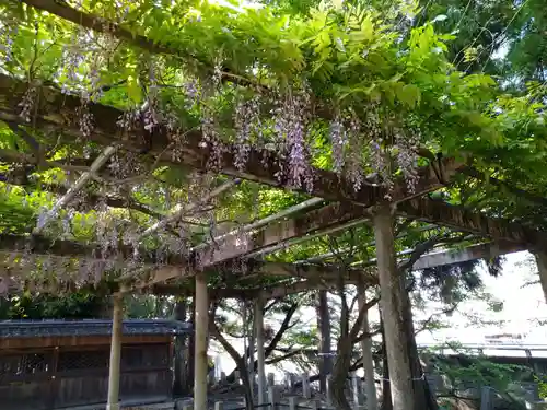 立木神社の庭園