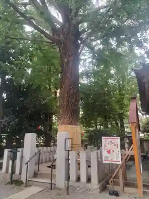 田無神社(東京都)