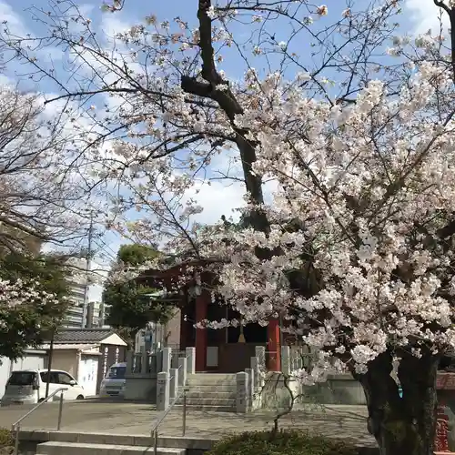 木場 洲﨑神社の自然