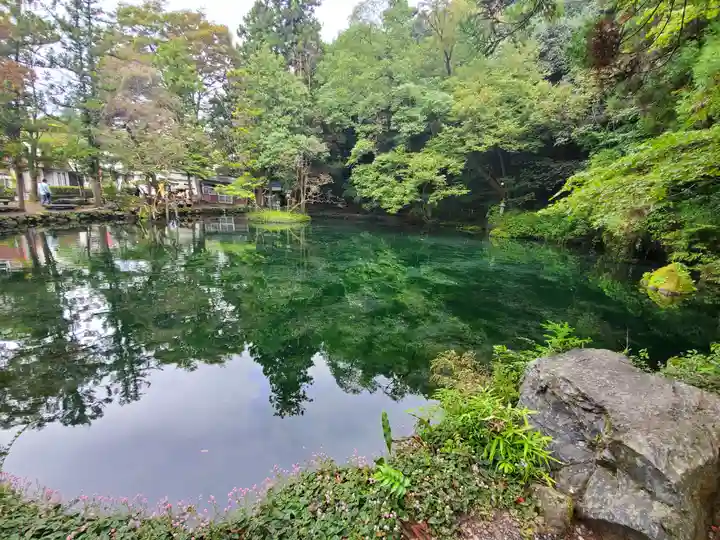 磯山弁財天の庭園