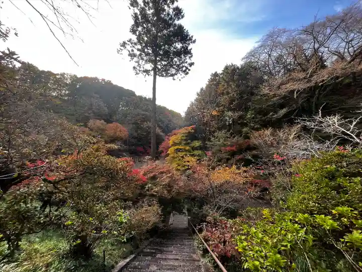 長学寺(群馬県)