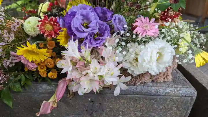 勝林寺(京都府)