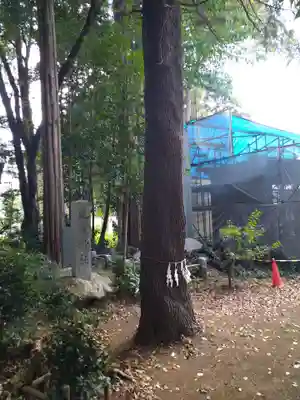 北野天神社のその他建物
