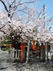 辰巳大明神(京都府)