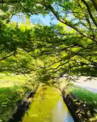 土津神社｜こどもと出世の神さまの周辺