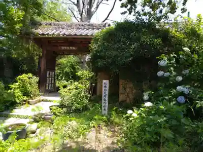 般若寺 ❁﻿コスモス寺❁(奈良県)