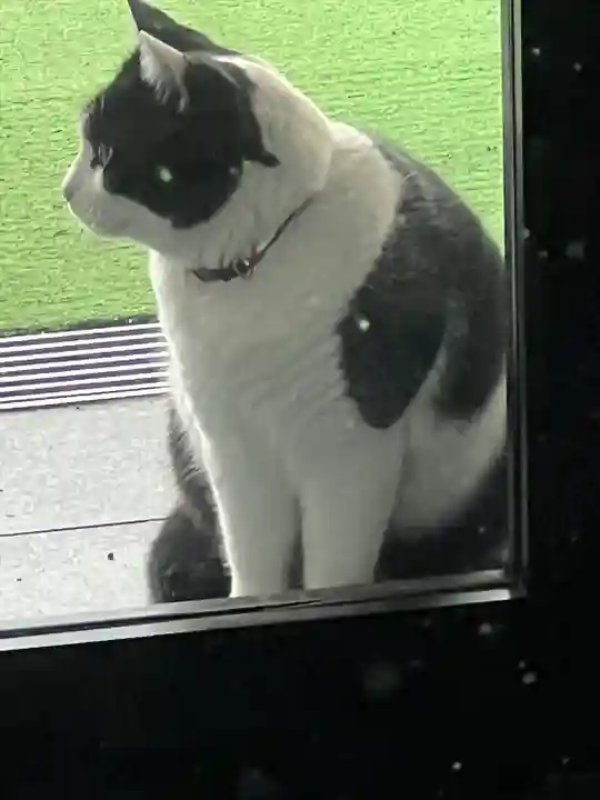 榛名神社(群馬県)