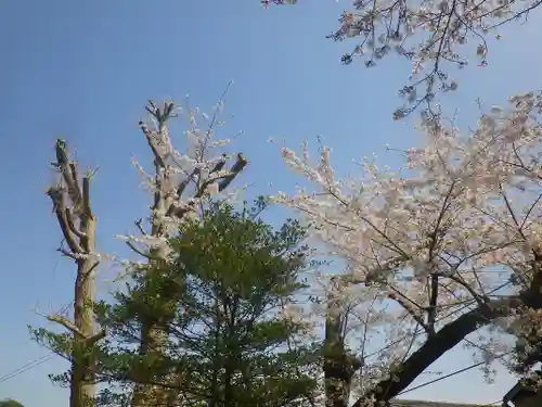 御霊神社の自然