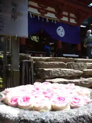 丹生都比売神社の本殿・本堂