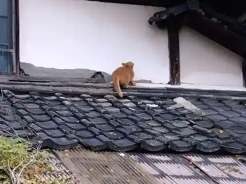 常昌寺(滋賀県)
