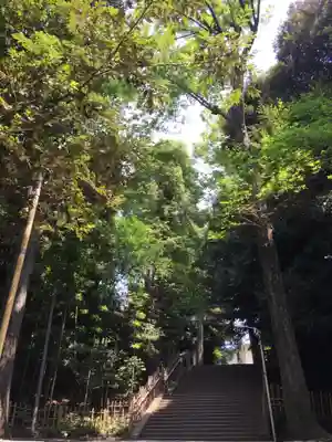 渋谷氷川神社のその他建物