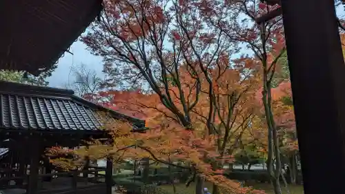 真正極楽寺（真如堂）(京都府)