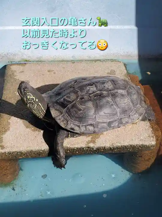 天性寺(福島県)