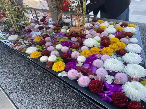 武蔵野坐令和神社の{uncategorized: "未分類", other: "その他", undefined: "問題あり", building: "その他建物", grave: "お墓", sacred_gate: "鳥居", guardian: "狛犬", statue: "像", buddha: "仏像", history: "歴史", nature: "自然", garden: "庭園", animal: "動物", pagoda: "塔", temizu: "手水舎", mountain_gate: "山門・神門", sanctuary: "本殿・本堂", subordinate: "末社・摂社", art: "芸術", scenery: "景色", jizo: "地蔵", ema: "絵馬", goshuin: "御朱印", omikuji: "おみくじ", items: "授与品その他", amulet: "お守り", goshuincho: "御朱印帳", eats: "食事", festival: "お祭り", votive_dance: "神楽", shichigosan: "七五三参", wedding: "結婚式", experience: "体験その他", initially: "初詣", around: "周辺", anti_infection: "感染症対策"}