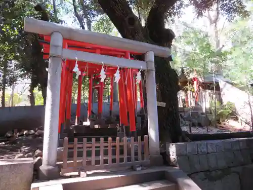 乃木神社の鳥居